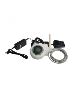 Dental Ultrasonic Piezo Scaler Easyinsmile S1 Compatible with Satelec/woodpecker-dte