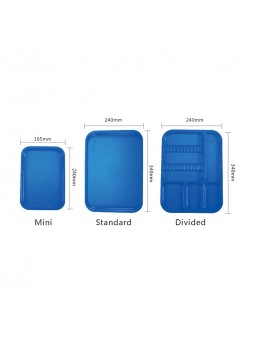 Easyinsmile dental PLASTIC TRAYS