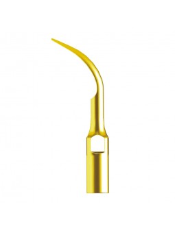 Easyinsmile GD1T Ultrasonic Scaler Supragingival scaling Tip compatible with Woodpecker-DTE
