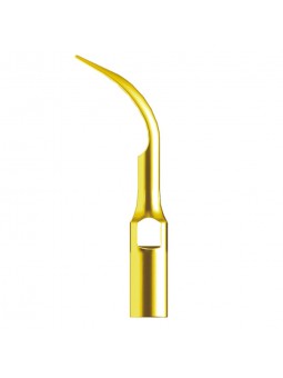 Easyinsmile GD2T Ultrasonic Scaler Supragingival scaling Tip compatible with Woodpecker-DTE 