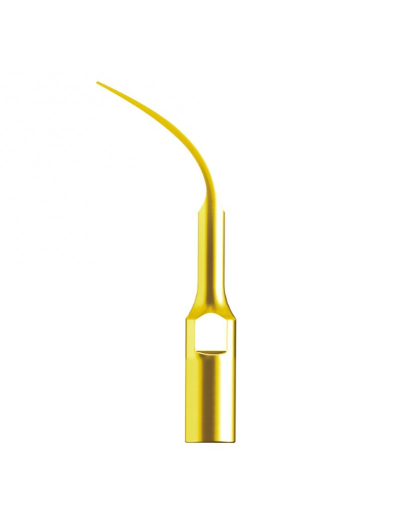 Easyinsmile GD4T Ultrasonic Scaler Supragingival scaling Tip compatible with Woodpecker-DTE 