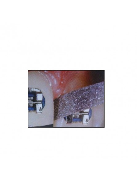 Dal 13 Febbraio Al Bancone Di Striscia La Notizia Tornano Sergio Friscia E Roberto Lipari