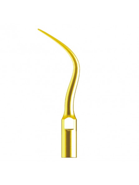 Easyinsmile PD4T Ultrasonic Scaler Perio scaling tip compatible with Woodpecker-DTE Easyinsmile PD4T Ultrasonic Scaler Perio scaling tip compatible with Woodpecker-DTE