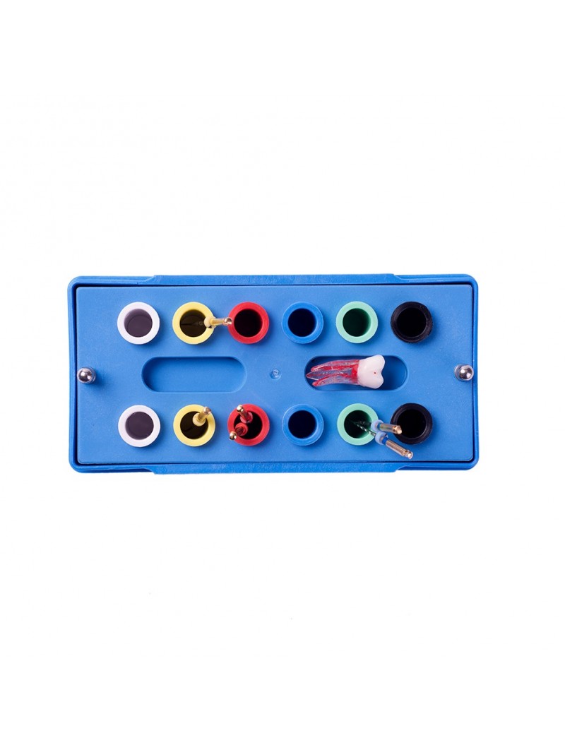 rotary endodontic files Easyinsmile® Multifunction Endo Sterilization