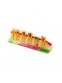 dental model teeth Easyinsmile Dental Caries Developing Model Tooth Typodont Model