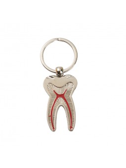 keychains wholesale 2PCS Easyinsmile Silver Colored Tooth Shaped Keychains