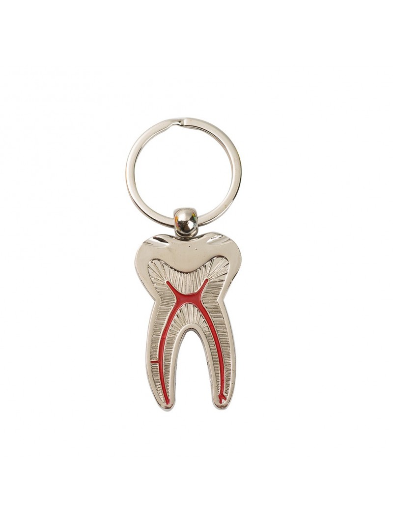 keychains wholesale 2PCS Easyinsmile Silver Colored Tooth Shaped Keychains