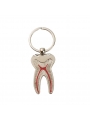 keychains wholesale 2PCS Easyinsmile Silver Colored Tooth Shaped Keychains