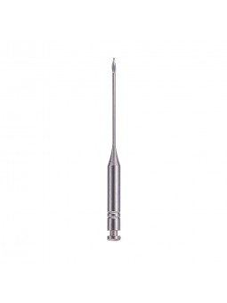 Dental Dentsply Endo Niti Files Largo Reames Gates Drill 