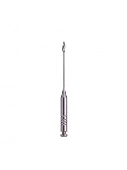 Dental Dentsply Endo Niti Files Largo Reames Gates Drill 