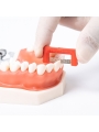 EASYINSMILE IPR Strip System Dental Stripping   Orthodontics for teeth