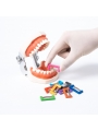 Restorative Strip Kit EASYINSMILE IR Dental Strip System Orthodontic Stripping