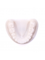 Teeth Model Of EASYINSMILE Dental White Corundum Simulation Analysis Demonstration Teeth Lab Model