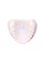 Teeth Model Of EASYINSMILE Dental White Corundum Simulation Analysis Demonstration Teeth Lab Model