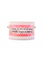 Dental Ortho Standard Teeth Model Metal Bracket Wires Typodont Model EASYINSMILE