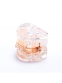 Dental teeth model orthodontic ceramic brackets archwire model for dentist lab Easyinsmile