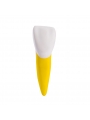 Dental Teeth Prior Roots Model Single Soft 15 Times Enlarged EASYINSMILE