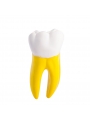Dental teeth model EASYINSMILE Dental Teeth Prior Roots Model Double Soft 15 Times Enlarged