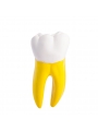 Dental teeth model EASYINSMILE Dental Teeth Prior Roots Model Double Soft 15 Times Enlarged