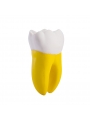 Dental teeth model EASYINSMILE Dental Teeth Prior Roots Model Double Soft 15 Times Enlarged