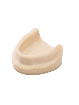 Dental Teeth model Easyinsmile Teeth Model Upper jaw without gums