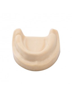 Dental Teeth model Easyinsmile Teeth Model Upper jaw without gums