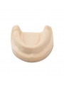 Dental Teeth model Easyinsmile Teeth Model Upper jaw without gums 