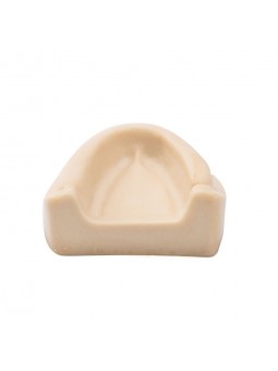 Dental Teeth model Easyinsmile Teeth Model Upper jaw without gums