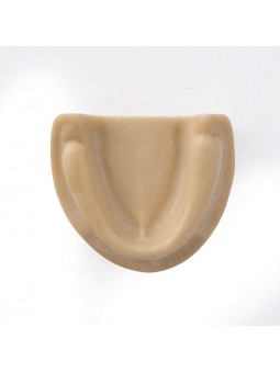 Dental Teeth model Easyinsmile Teeth Model Upper jaw without gums
