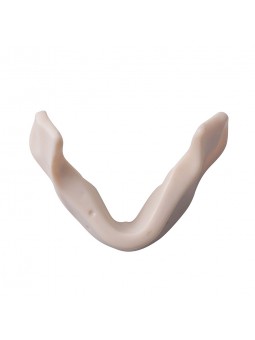 Dental Teeth Model EASYINSMILE Teeth Model simulation lower jaw Style B 	