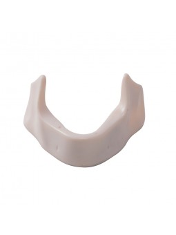 Dental Teeth Model EASYINSMILE Teeth Model simulation lower jaw Style B