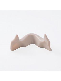 Dental Teeth Model EASYINSMILE Teeth Model simulation lower jaw Style B
