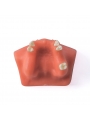 Dental Model Sinus Lift Practice Model Study Education Teeth Model EASYINSMILE Style A