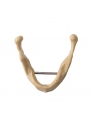 EASYINSMILE Dental Lower Jaw Teeth Study Model Anatomically Bone Mandible Model Without Gums 	