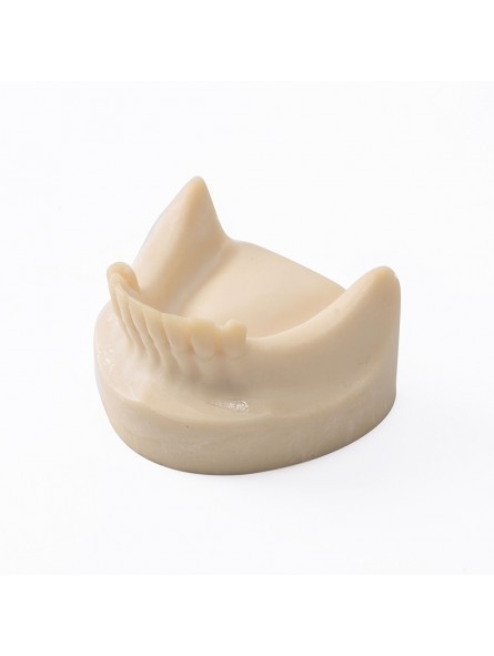 Dental Lower Jaw Teeth Missing Demonstration Model & 8 teeth  Without Gum EASYINSMILE 
