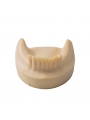 Dental Lower Jaw Teeth Missing Demonstration Model & 8 teeth  Without Gum EASYINSMILE 