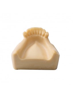Dental Lower Jaw Teeth Missing Demonstration Model & 8 teeth  Without Gum EASYINSMILE