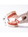 Dental Orthodontic Plus Strips Enamel Interproximal Reduction Kit EASYINSMILE 10Pc 