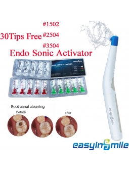 Dental Endodontic...
