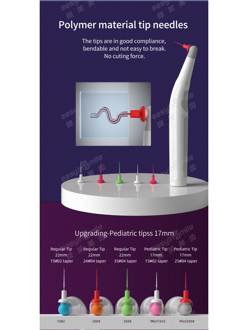 Easyinsmile Endodontic EASYDO Endo Activator Oral Mini Sonic Irrigator