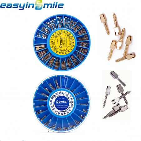 Easyinsmile 120pcs Dental Endo Endodonica Screw Post Conical Pins Root ...