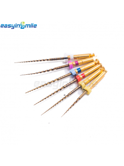 Easyinsmile Dental Endo...