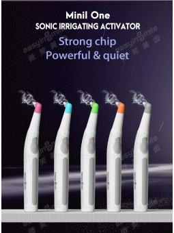 Easyinsmile Dental Endo...