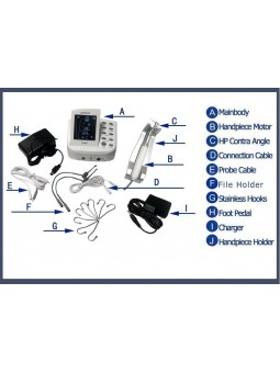 Easyinsmile JoySmart Endo Motor with Apex Locator Treatment Handpiece Endodontic US Warranty