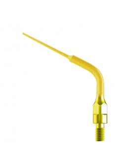 parkell scaler Easyinsmile...