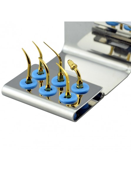 Easyinsmile ESKG EMS Woodpecker Dental scaler Tip standard Kit Silver G1T G2T G4T P1T P3T E1T Easyinsmile ESKG EMS Woodpecker Dental scaler Tip standard Kit Silver G1T G2T G4T P1T P3T E1T