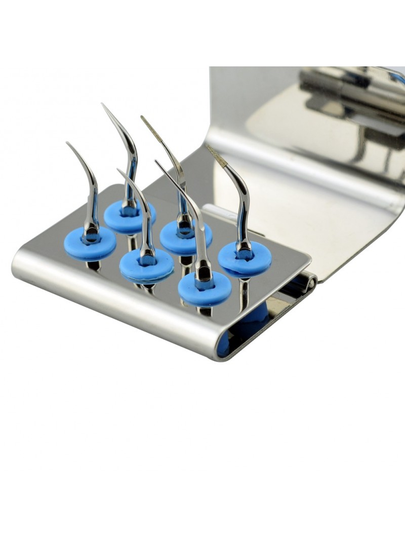 Easyinsmile EPKS EMS Woodpecker Dental scaler Tip Scaler Perio Kit Sliver P1 P3 P4 P3D P4D