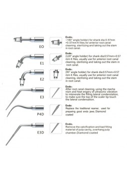 Easyinsmile EEKS EMS Woodpecker Dental scaler Tip Scaler Endo Kit Silver E0,E1,E2,E3,P4D,E3D