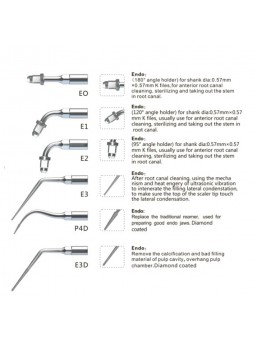Easyinsmile EEKS EMS Woodpecker Dental scaler Tip Scaler Endo Kit Silver E0,E1,E2,E3,P4D,E3D
