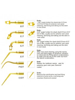 Easyinsmile EEKG EMS Woodpecker Dental scaler Tip Scaler Endo Kit Gold E0T,E1T,E2T,E3T,P4DT,E3DT